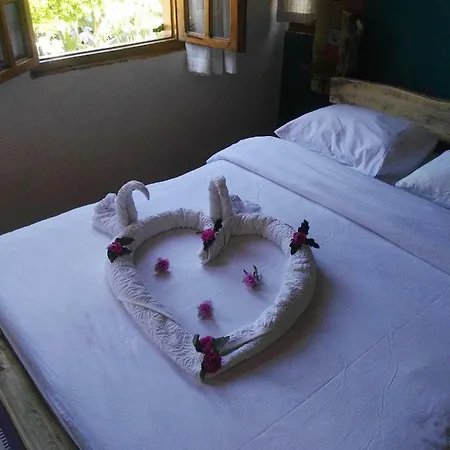 Отель Wood House 3*